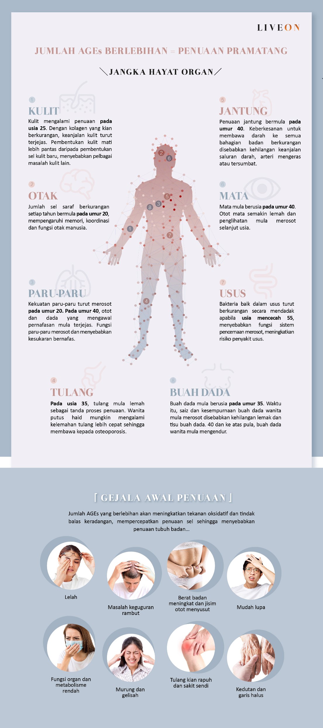 LIVEON Australia | New Zealand -  the early Symptoms of Ageing 