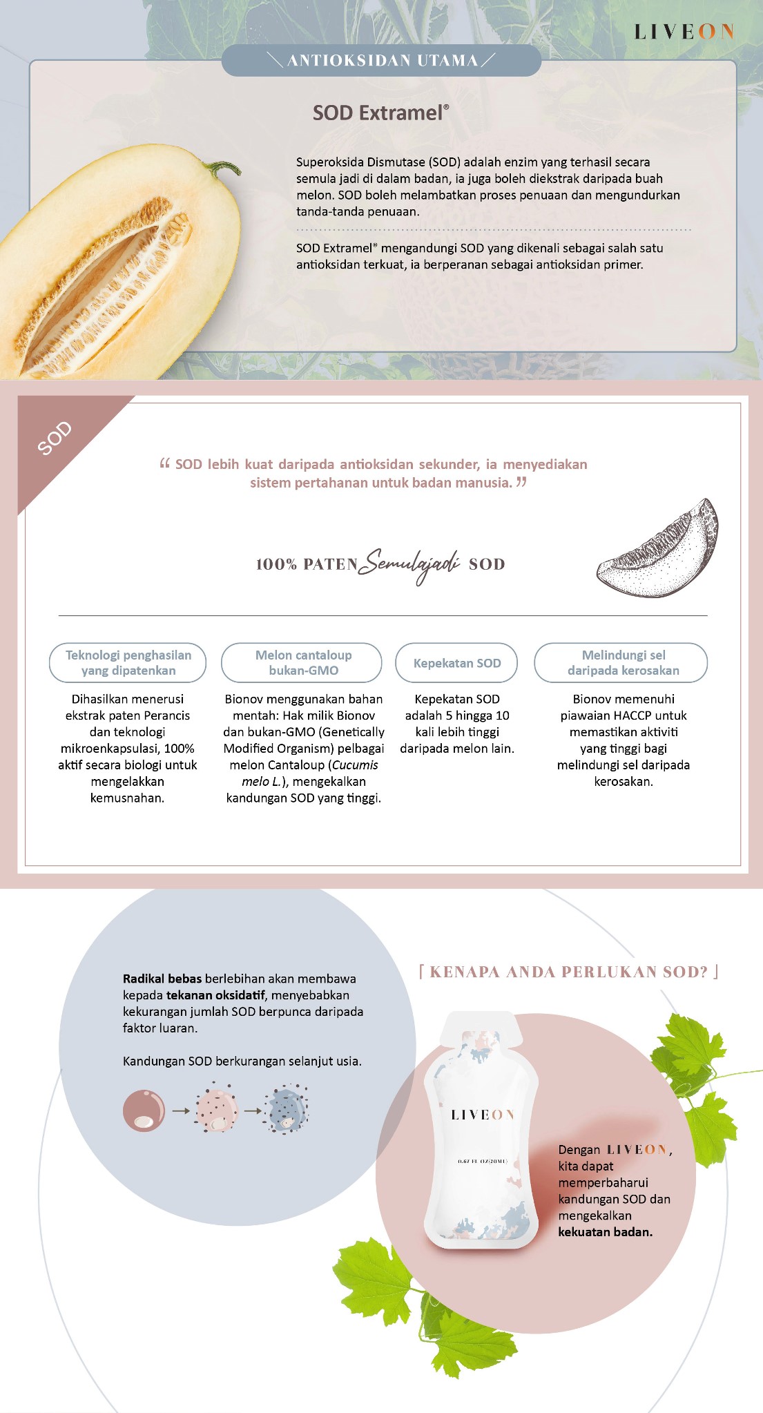 LIVEON Australia | New Zealand - SOD extramel free radicals oxidative stress 