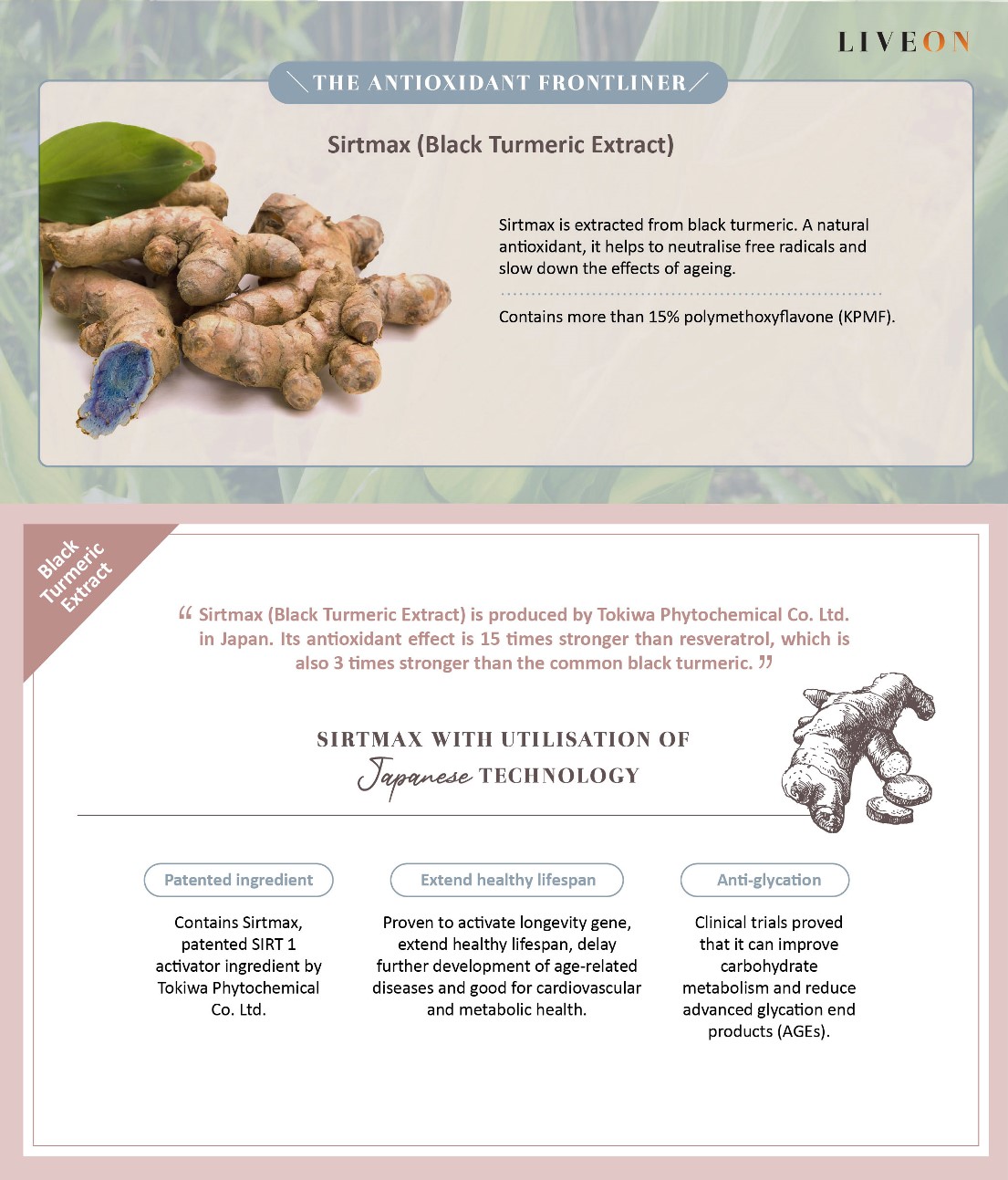 LIVEON Australia | New Zealand - Sirtmas (black turmeric extract) the anitoxidant frontliner  
