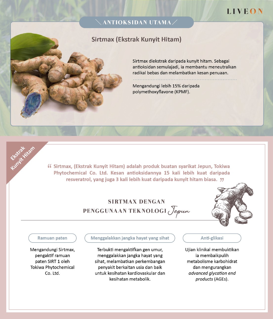 LIVEON Australia | New Zealand - Sirtmas (black turmeric extract) the anitoxidant frontliner  