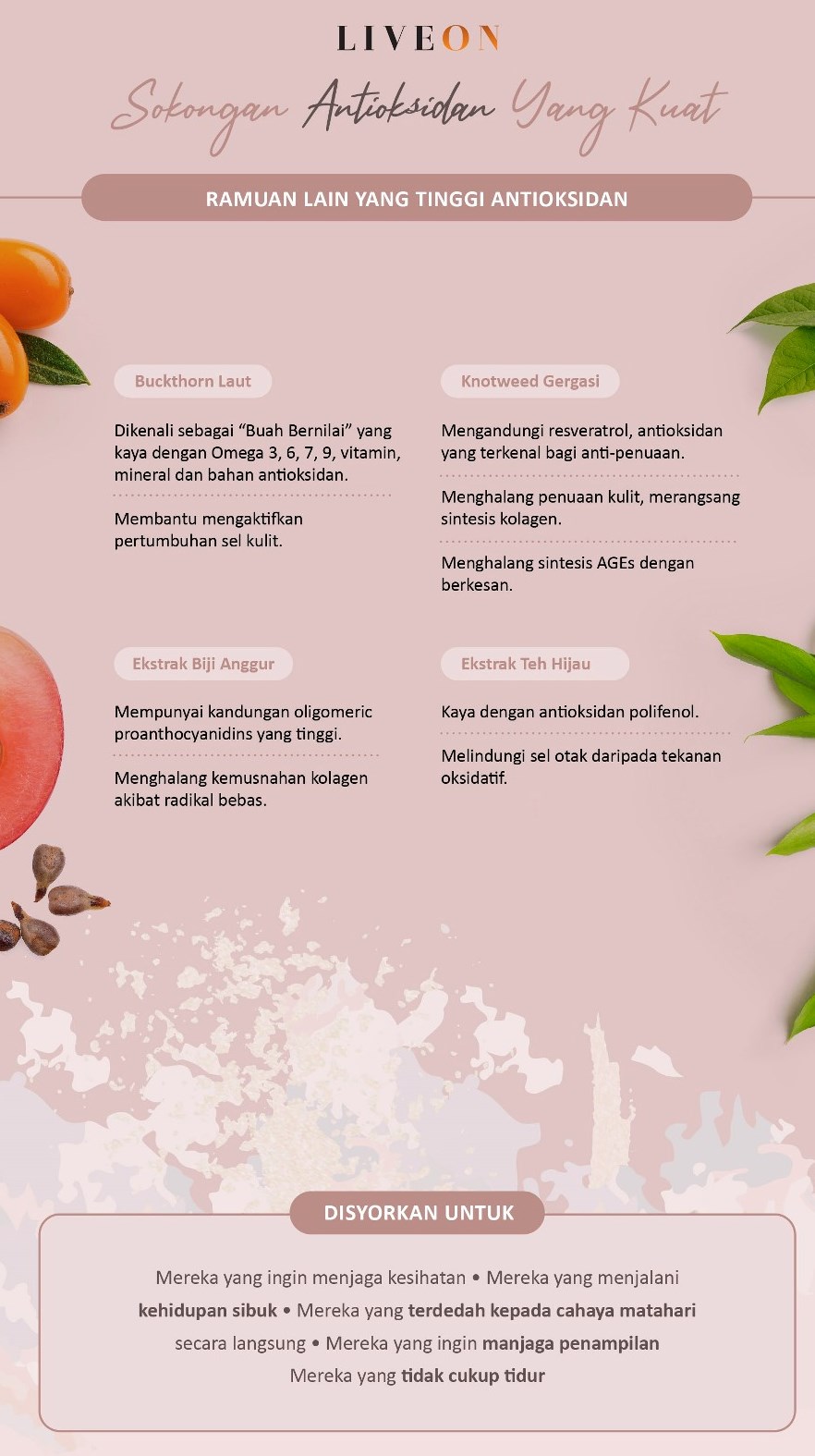 LIVEON Australia | New Zealand - powerful antioxidant support - Sea Buckthorn , Giant Knotweed, grapeseed extract, green tea extract 