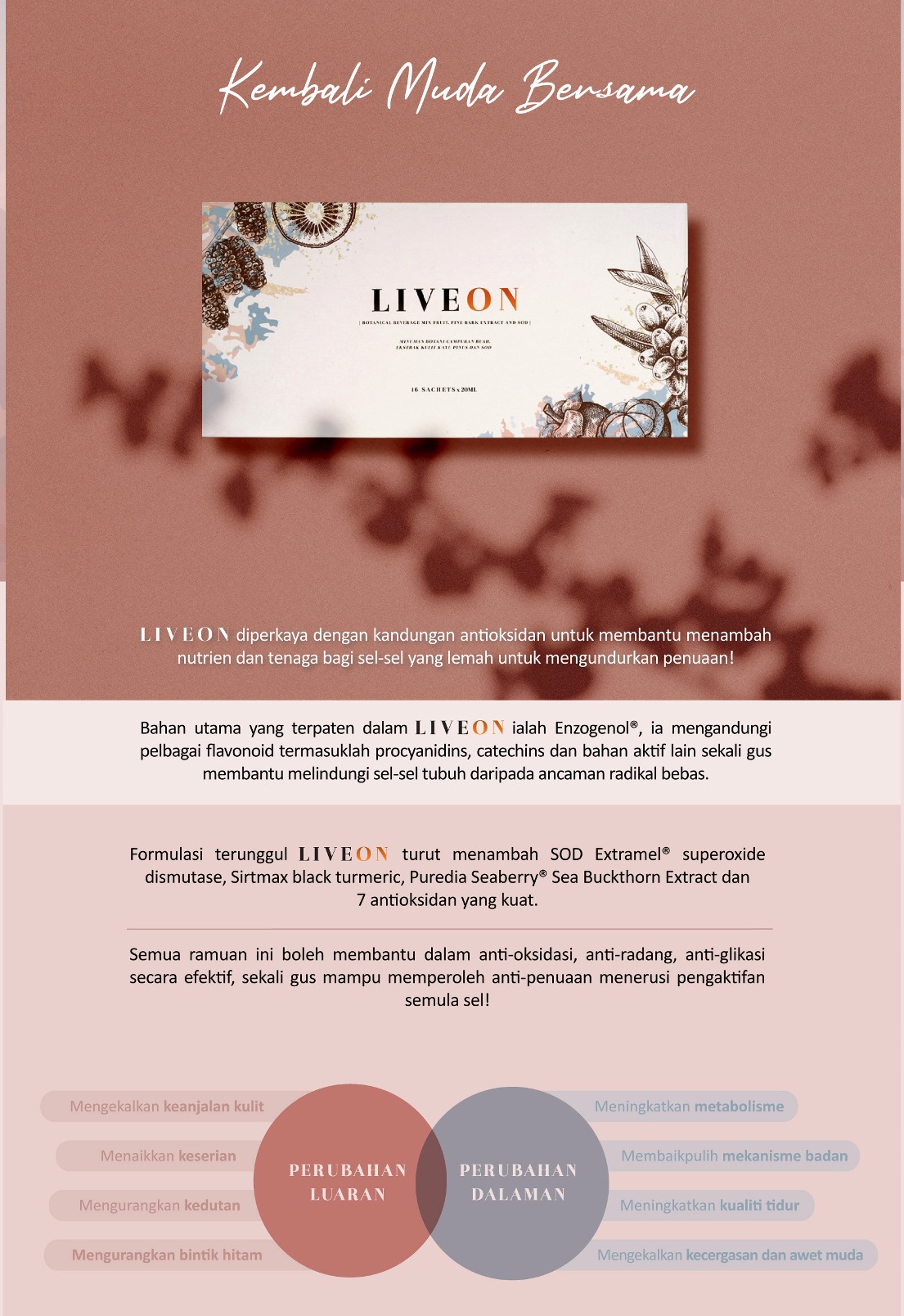 LIVEON Australia | New Zealand - Re-explore your youthful diary Enzogenol