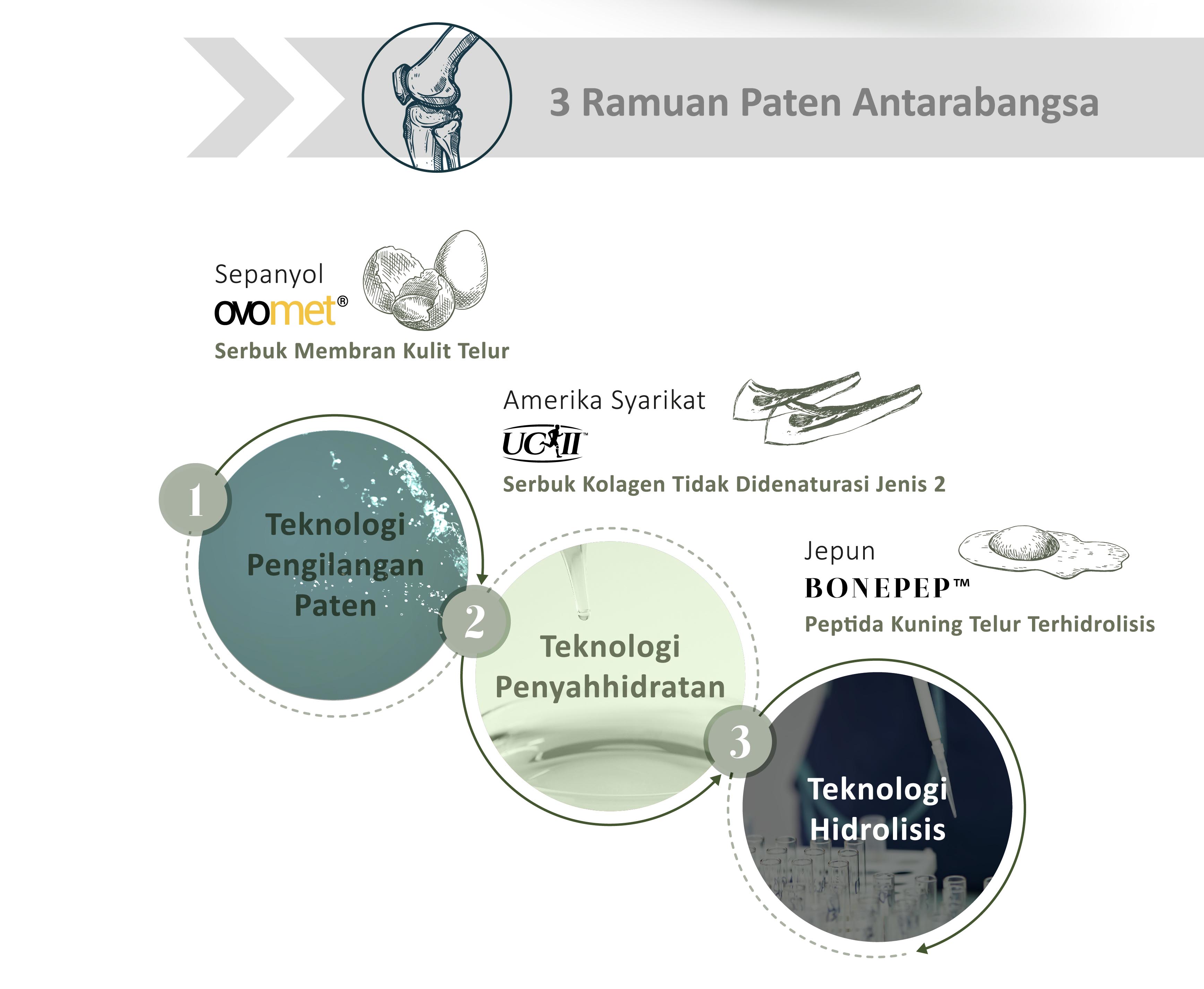 MOVEON Australia | New Zealand 