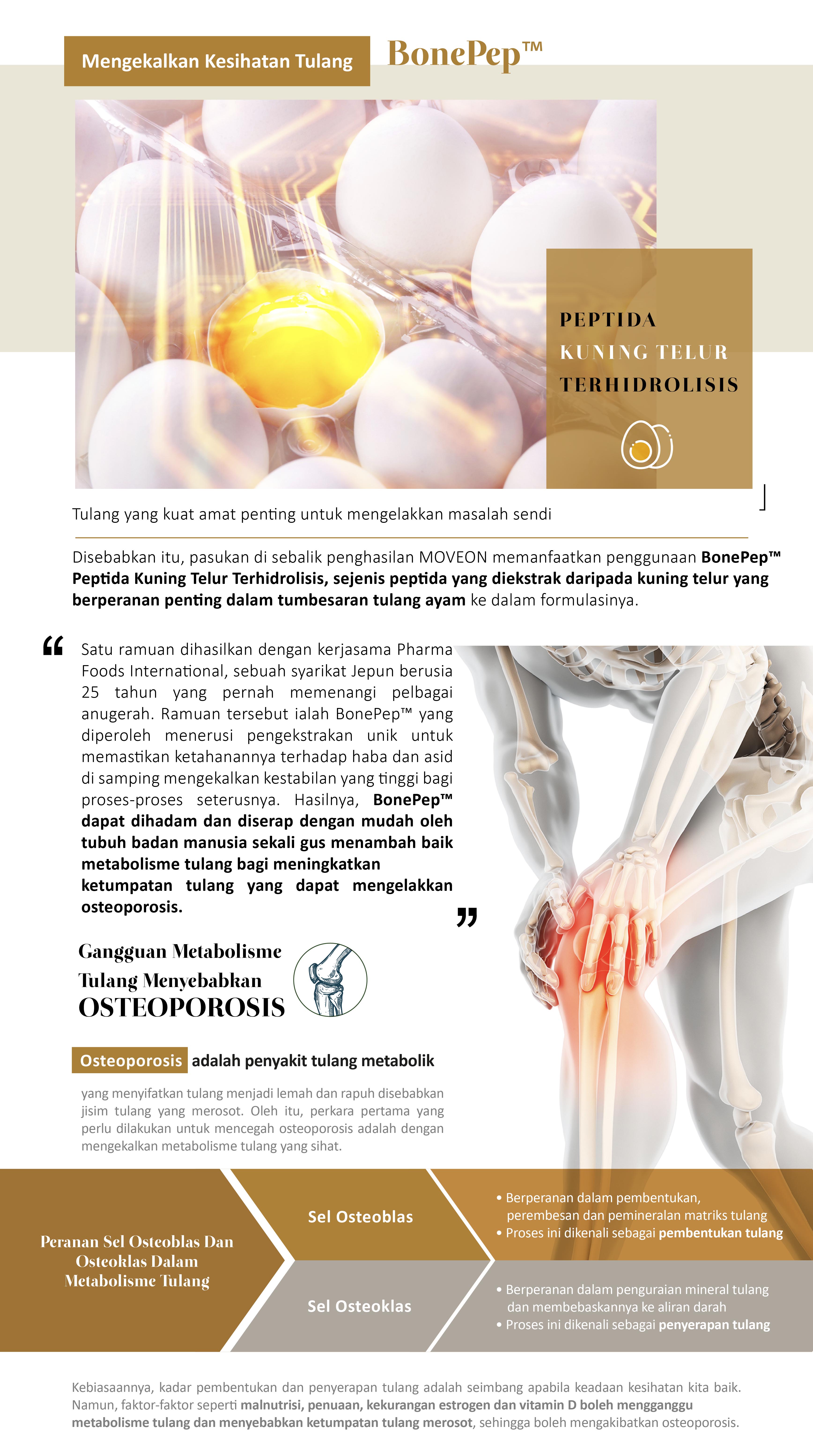 MOVEON Australia | New Zealand 