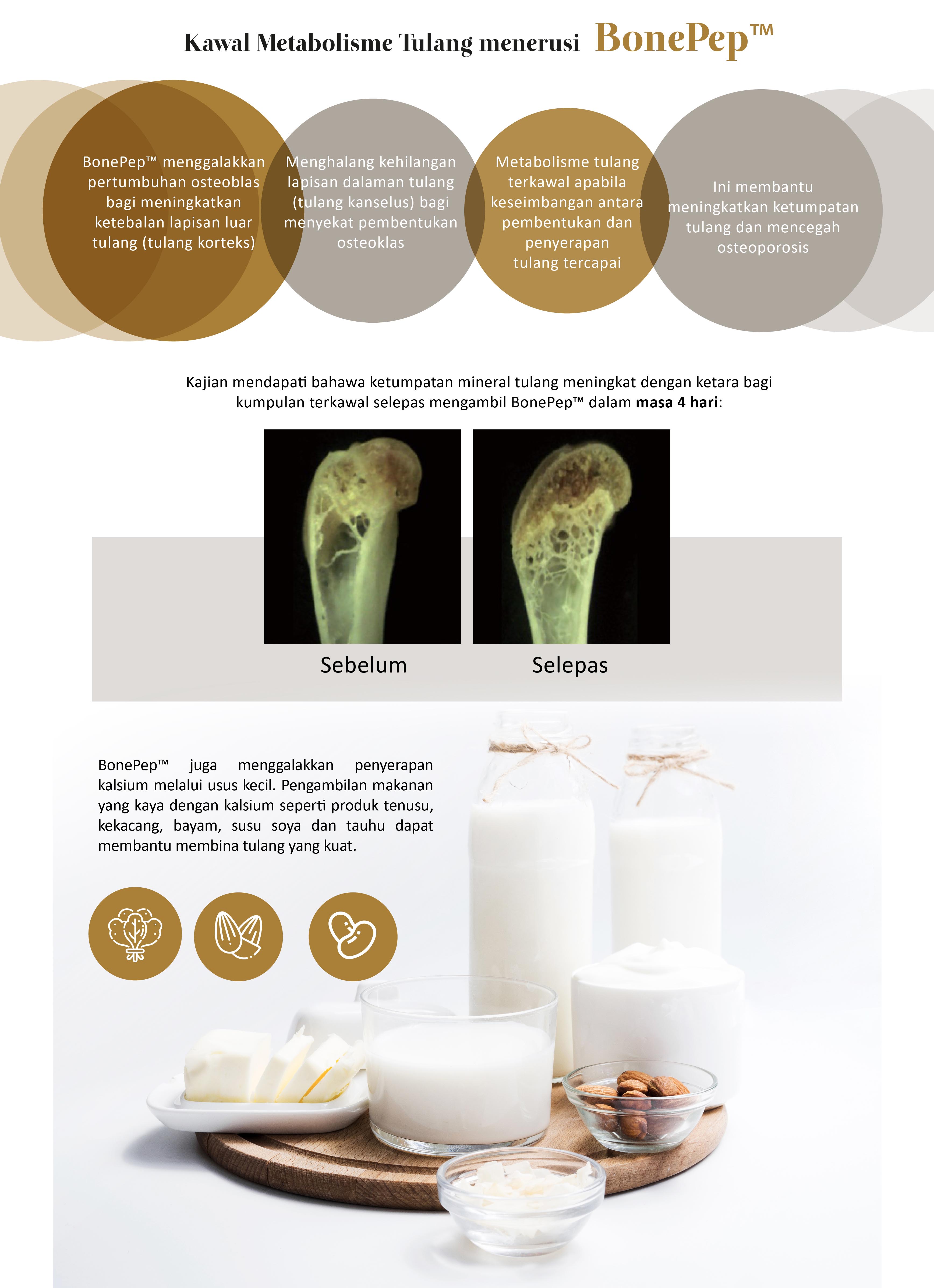 MOVEON Australia | New Zealand 